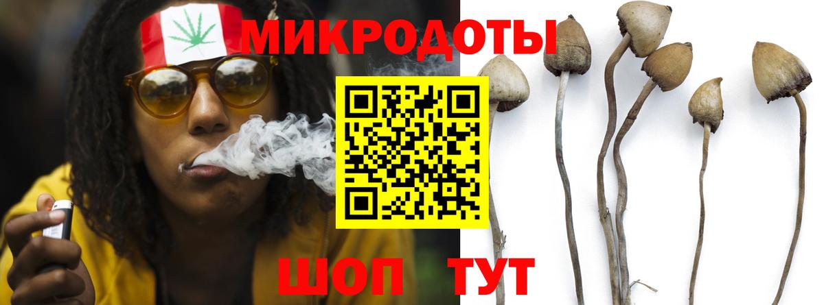 купить наркоту  Галлюциногенные грибы GOLDEN TEACHER  Вход с VPN  Кондопога 